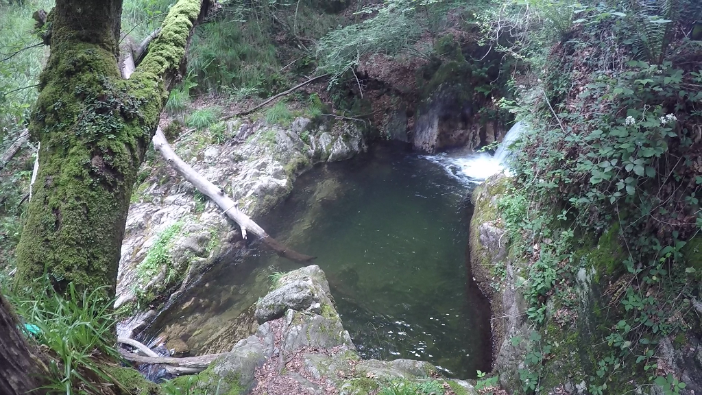 Bosque de Artikutza poza natural